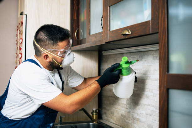 Best Wasp Removal Services  in Fuquay Varina, NC