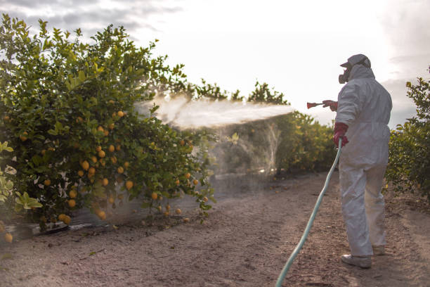 Best Commercial Pest Control Services  in Fuquay Varina, NC