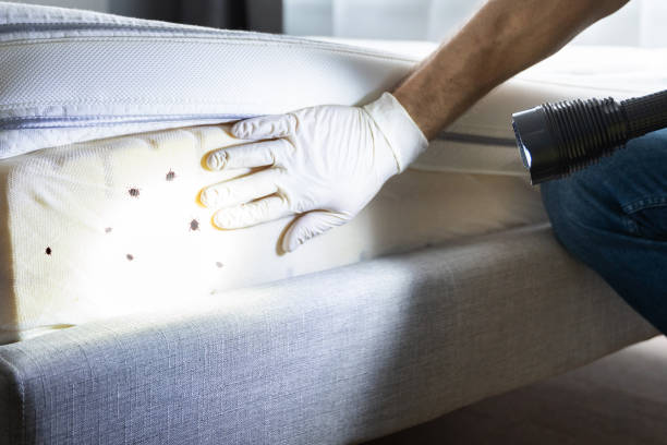 Best Pest Removal Services  in Fuquay Varina, NC