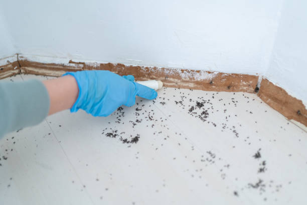 Trusted Fuquay Varina, NC Pest Control Experts